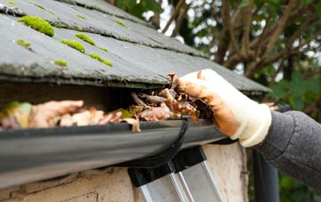 gutter cleaning Holnicote, Somerset
